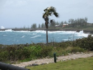 The windswept Cayman Island coast ©NDY